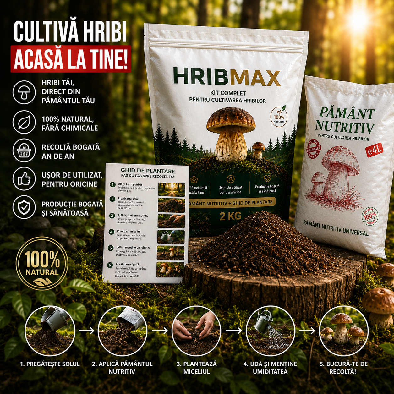 Miceliu de Hrib pentru Grădină – HribMax™